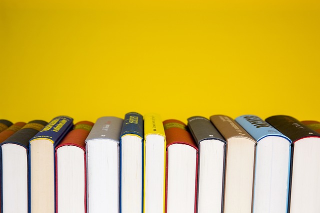 PM Playbook for Junior Project Managers